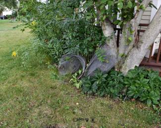 1064Back Yard