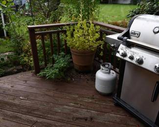 1085Back Yard