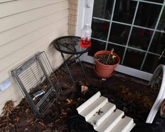 1074Back Yard