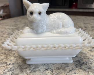 Westmoreland cat