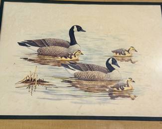 Framed Duck Artwork
