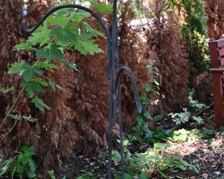 825Back Yard