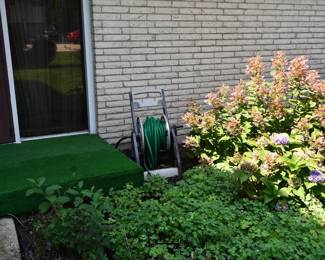 815Back Yard