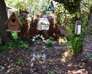 824Back Yard