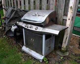 842Back Yard