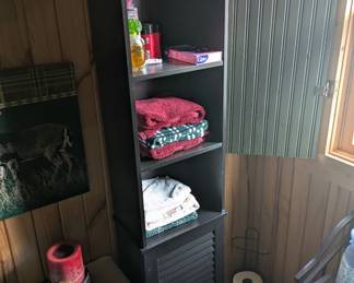 Bathroom storage