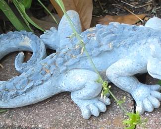 Lizard 