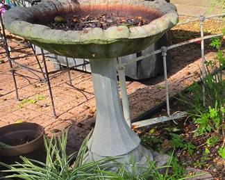 Birdbath 