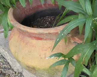 Flower Pot 