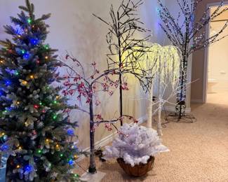 Seasonal light up trees, many for Christmas and some can change year round color pallets