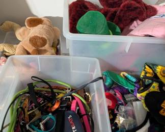 Dog Leashes & toys