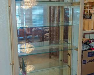 One, of several, Howard Miller collectibles cases