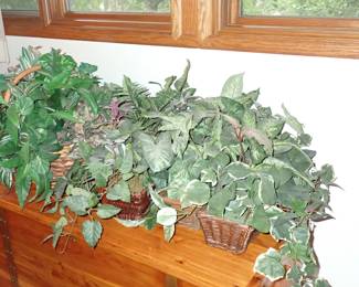 POTTED GREENS
