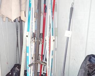 SKIIS