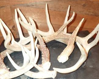 ANTLERS