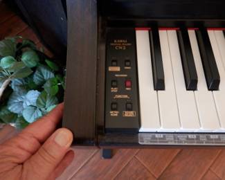 Come visit in AC comfort and play this instrument