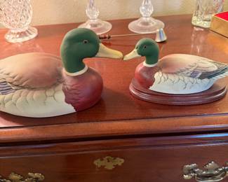 Mallards