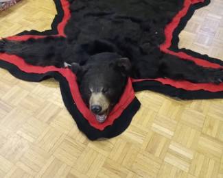 Real Bearskin Rug