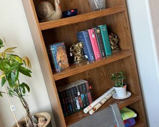 books and shelf, cement snail, vases, plants