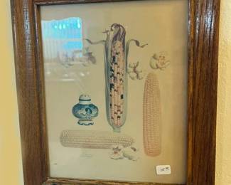 41. Type of Corn Print