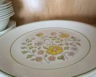 Corelle Meadow Dinner Plates
