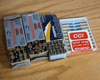 .22 Long Rifle Ammunition Assortment