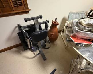 exercise machine, weird looking animal thing