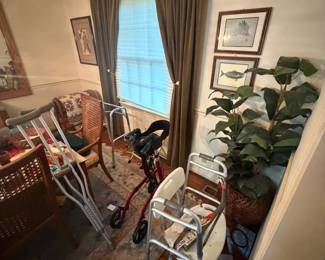 artificial plant, walker, crutches, shower chair