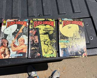 This is a complete three-part set of the 1980–1981 Flash Gordon: The Movie official comic book adaptation