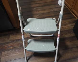 21 Two step stool with handrail