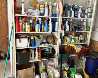 Cleaning products, spray cans, and household supplies.