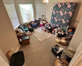 Room with storage bins, toys, and collectibles.