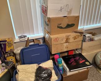 Boxes of decor, lamps, and household accessories.