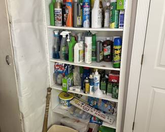 Cleaning products, household chemicals, and storage shelf.