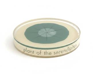 Steuben Glass Serendipity Paperweight third image
