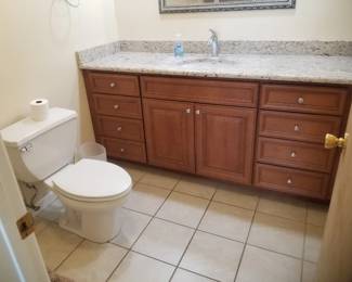 Bath vanity; toilet
