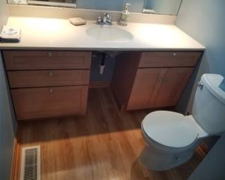 Bath vanity; toilet