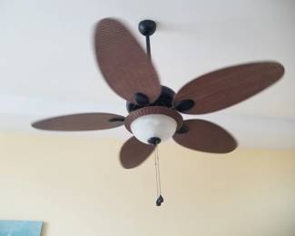 Lighted ceiling fan