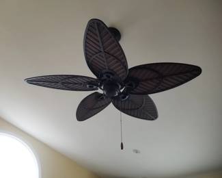 Ceiling fan