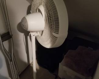 Floor fan