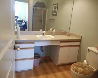 Bath vanity; mirror; toilet
