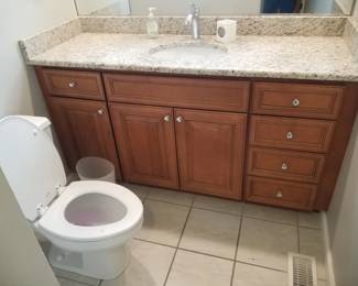 Bath vanity; toilet
