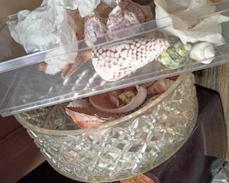 More shells