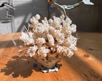 Malcolm Moran bronze & coral sculpture 10" x 11"w