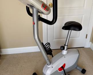 Item #100 - Schwinn Fitness Bike