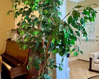 Item #4 - Faux 8' Tree $24
