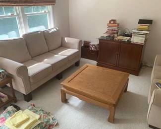 Sleep Sofa