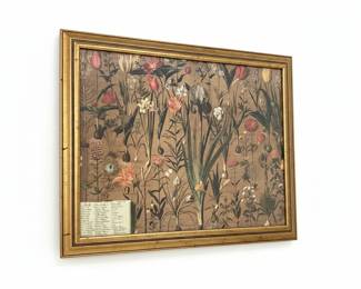 Botanical Print after Hieronymus Fabricius