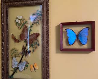 Butterflies 