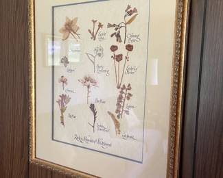 Wildflowers 
